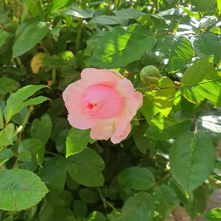 Hideaway Hébergement de vacances