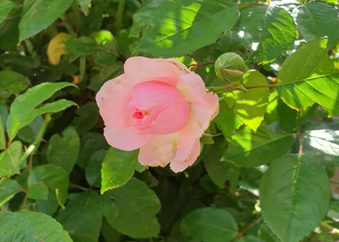 Hideaway Σπίτι διακοπών